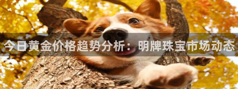 新宝xb5：今日黄金价格趋势分析：明牌珠宝市场动态