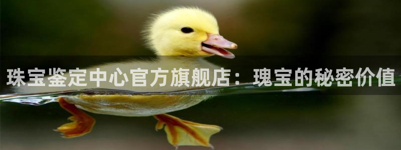 新宝5测速登录：珠宝鉴定中心官方旗舰店：瑰宝的秘密价值