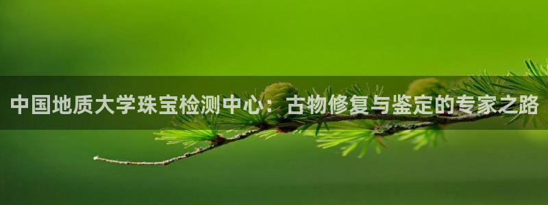 新宝5测速登录：中国地质大学珠宝检测中心：古物修复与鉴定的专家之路