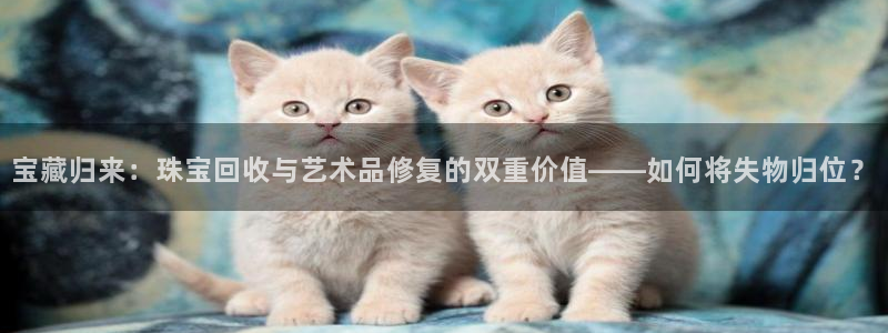 新宝5飞355051：宝藏归来：珠宝回收与艺术品修复的双重价值——如何将失物归位