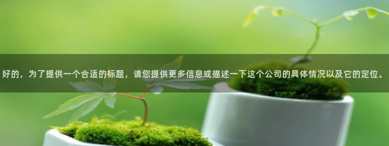 新宝 5测速：好的，为了提供一个合适的标题，请您提供更多信息或描述一下这个公司的