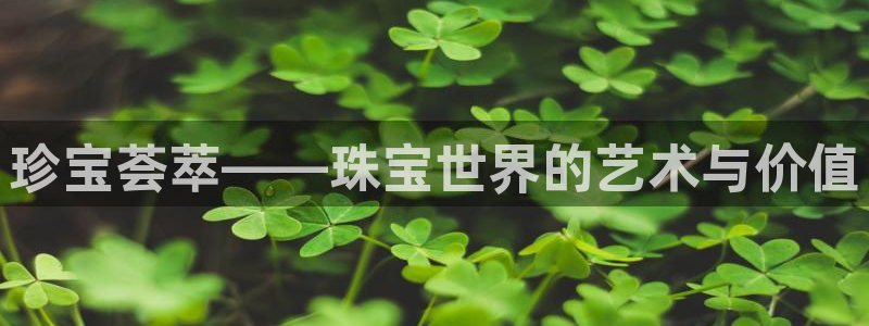新宝5侹刔：珍宝荟萃——珠宝世界的艺术与价值