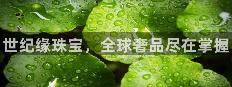 新宝5测登录：世纪缘珠宝，全球奢品尽在掌握