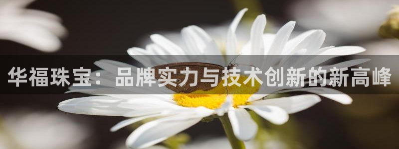 新宝5娱乐平台：华福珠宝：品牌实力与技术创新的新高峰