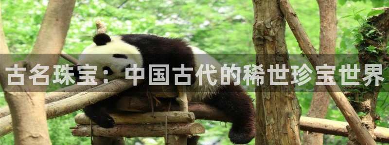 新宝5平台霸：古名珠宝：中国古代的稀世珍宝世界