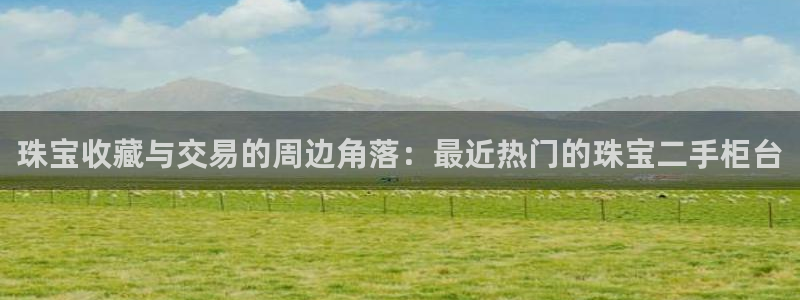 新宝5 唯一：珠宝收藏与交易的周边角落：最近热门的珠宝二手柜台