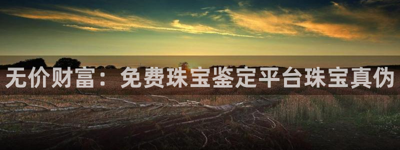 新宝cR一5：无价财富：免费珠宝鉴定平台珠宝真伪