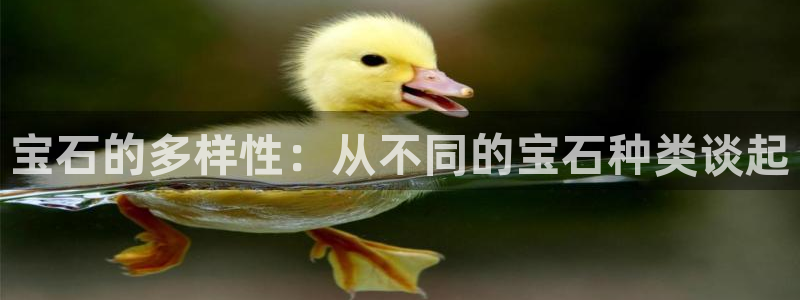 新宝5培训：宝石的多样性：从不同的宝石种类谈起