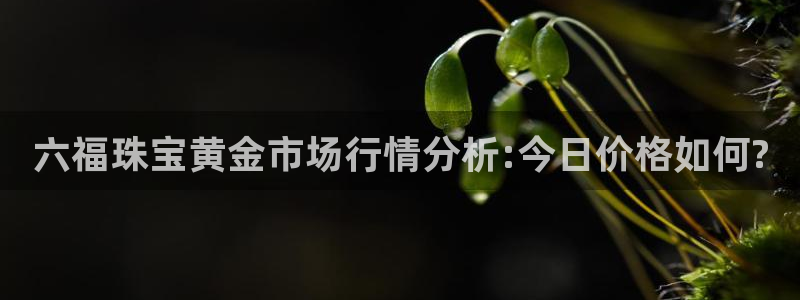 新宝5线路登录检测：六福珠宝黄金市场行情分析:今日价格如何?