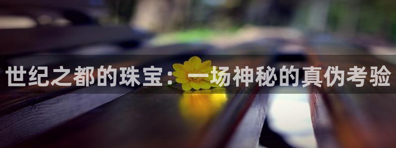 新宝5平棋牌：世纪之都的珠宝：一场神秘的真伪考验