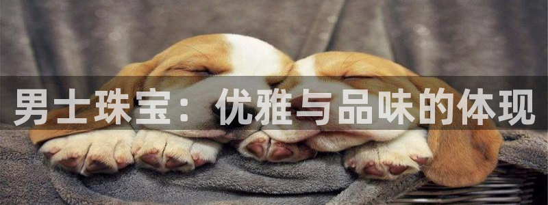 新宝5日谢29999：男士珠宝：优雅与品味的体现