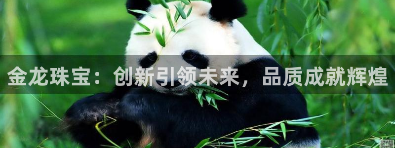 新宝5吴74OOO5：金龙珠宝：创新引领未来，品质成就辉煌
