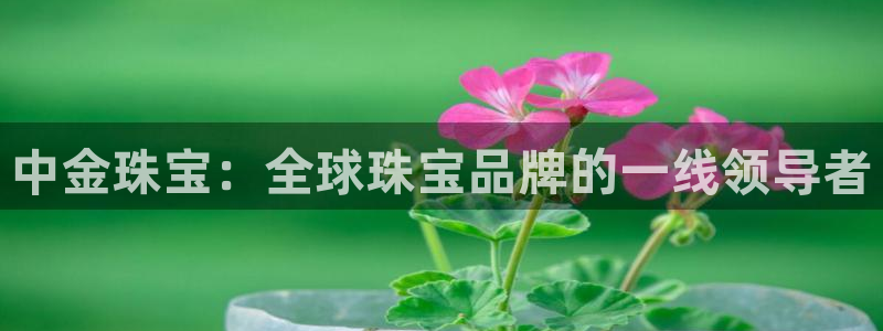 新宝5登录网址：中金珠宝：全球珠宝品牌的一线领导者