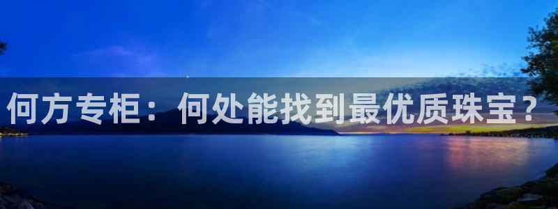 新宝堂新会陈皮5年：何方专柜：何处能找到最优质珠宝？