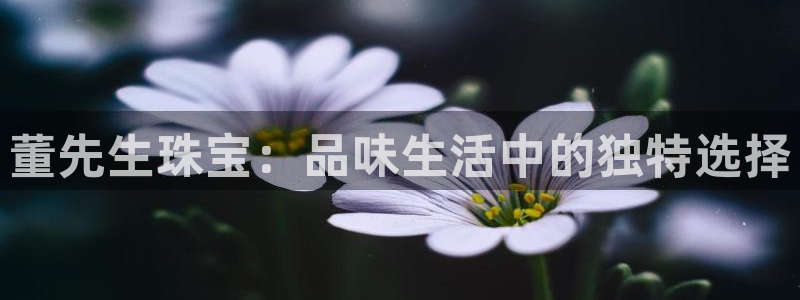 新宝5官方下载地址：董先生珠宝：品味生活中的独特选择