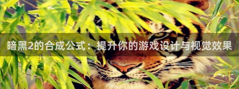 新宝5日740005蔻：暗黑2的合成公式：提升你的游戏设计与视觉效果