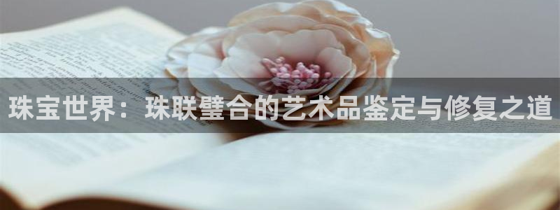 新宝那2O5O5O：珠宝世界：珠联璧合的艺术品鉴定与修复之道