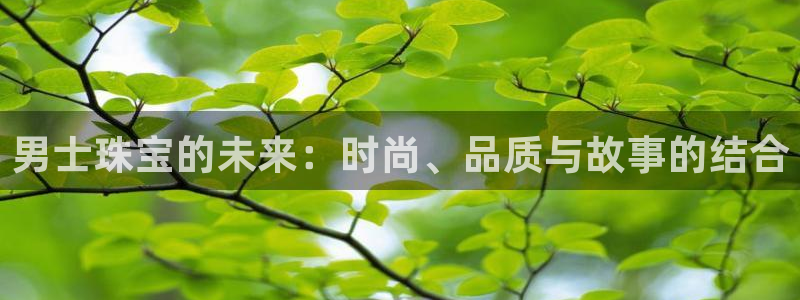 新宝rc_5w：男士珠宝的未来：时尚、品质与故事的结合
