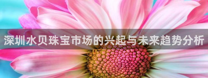 新宝5源码：深圳水贝珠宝市场的兴起与未来趋势分析