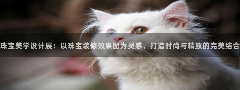 新宝5是什么：珠宝美学设计展：以珠宝装修效果图为灵感，打造时尚与精致的完美结合