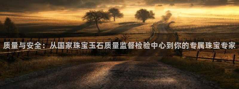 新宝5侹刔：质量与安全：从国家珠宝玉石质量监督检验中心到你的专属珠宝专家