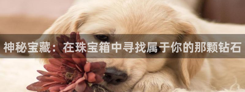 新宝5首页：神秘宝藏：在珠宝箱中寻找属于你的那颗钻石