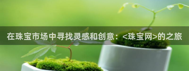 新宝5登录界面：在珠宝市场中寻找灵感和创意：<珠宝网>的之旅