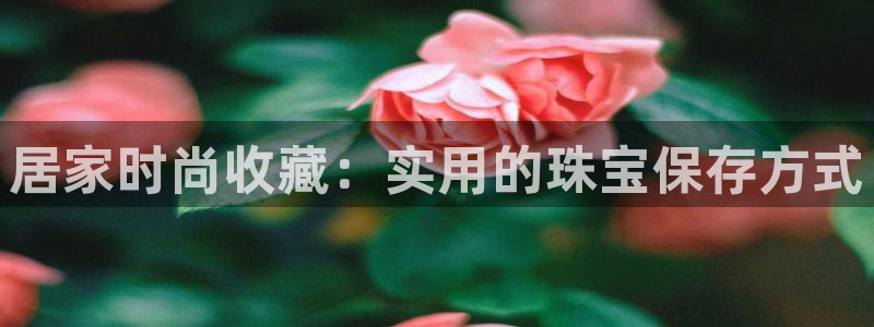 新宝5后：居家时尚收藏：实用的珠宝保存方式