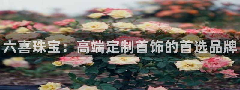新宝5日：六喜珠宝：高端定制首饰的首选品牌