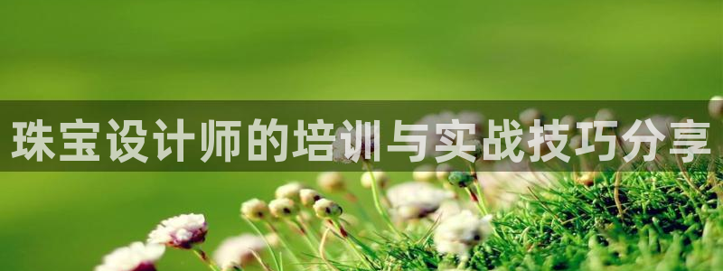 新宝5浗维33 300：珠宝设计师的培训与实战技巧分享