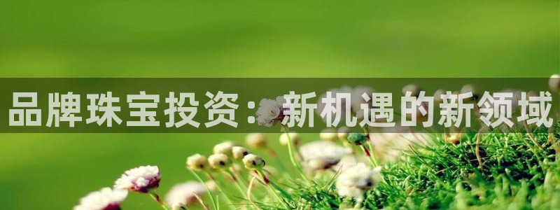 新宝5吕74OOO5：品牌珠宝投资：新机遇的新领域