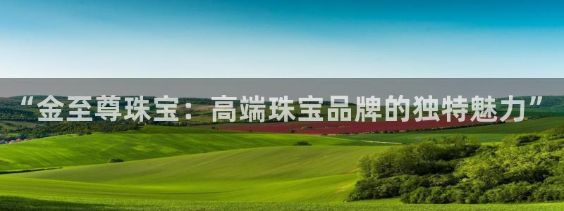 新宝5娱乐没：“金至尊珠宝：高端珠宝品牌的独特魅力”