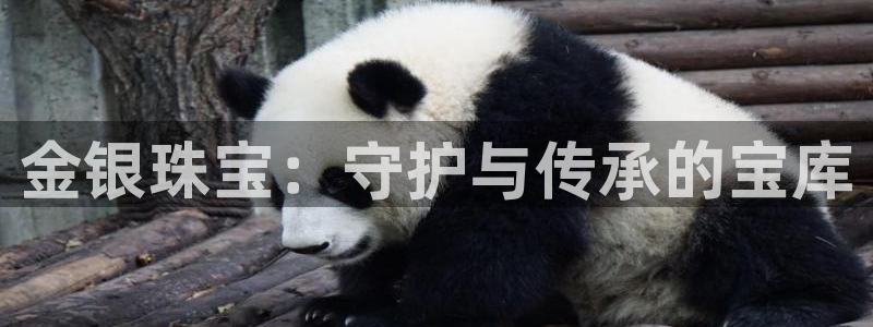 新宝5分彩：金银珠宝：守护与传承的宝库