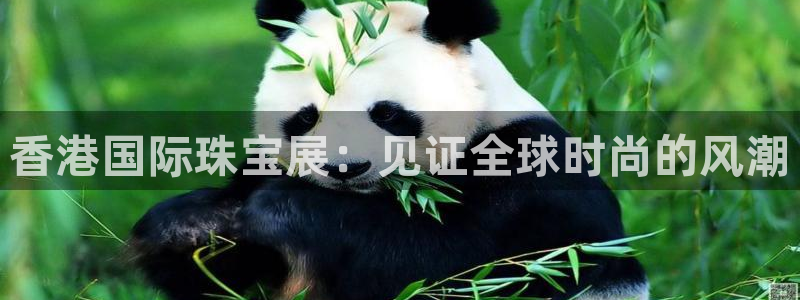 新宝股东张听2 5 5：香港国际珠宝展：见证全球时尚的风潮