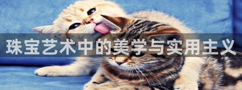 新宝5台卡：珠宝艺术中的美学与实用主义