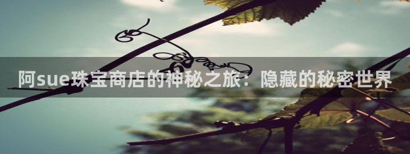 新宝5如何注册：阿sue珠宝商店的神秘之旅：隐藏的秘密世界