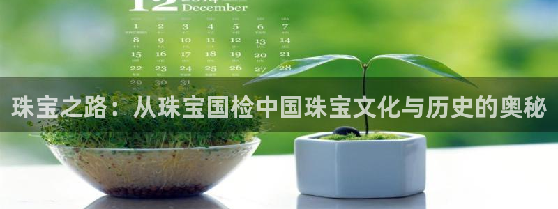 新宝5测速在线：珠宝之路：从珠宝国检中国珠宝文化与历史的奥秘