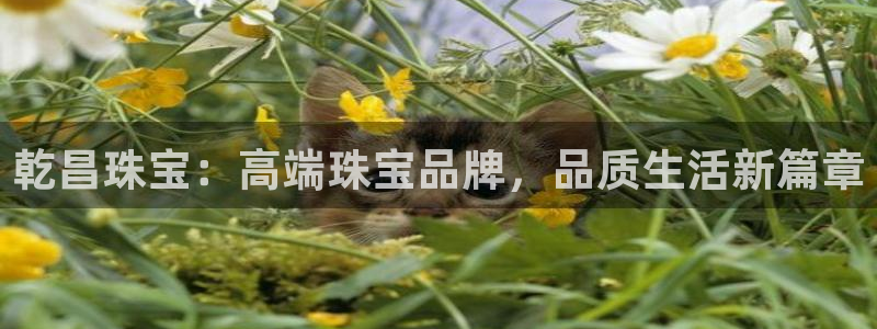 新宝5五：乾昌珠宝：高端珠宝品牌，品质生活新篇章